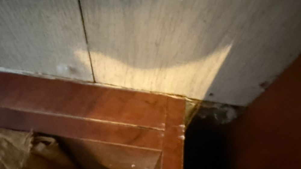 All Photos for Surplus Public Adjusters in Miami-Dade County, FL