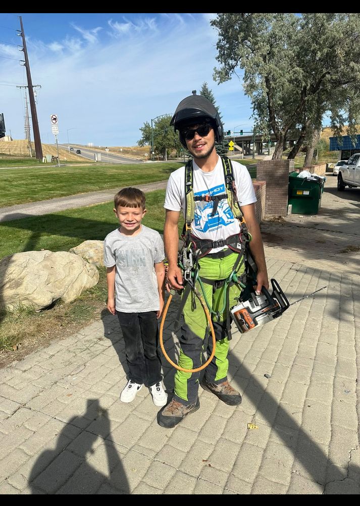 All Photos for Elevated Tree Care in Gillette, WY