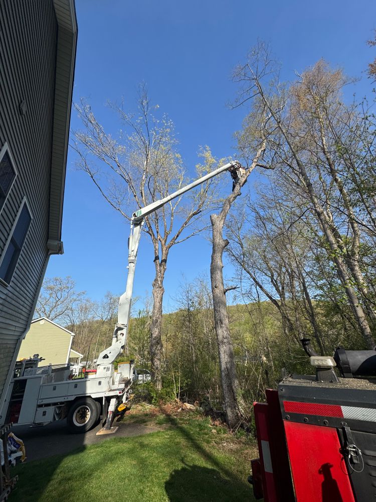 All Photos for Hennessey Tree & Landscape LLC in Oxford,  CT 
