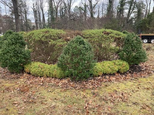 All Photos for Atlas Home Services in Mechanicsville, VA