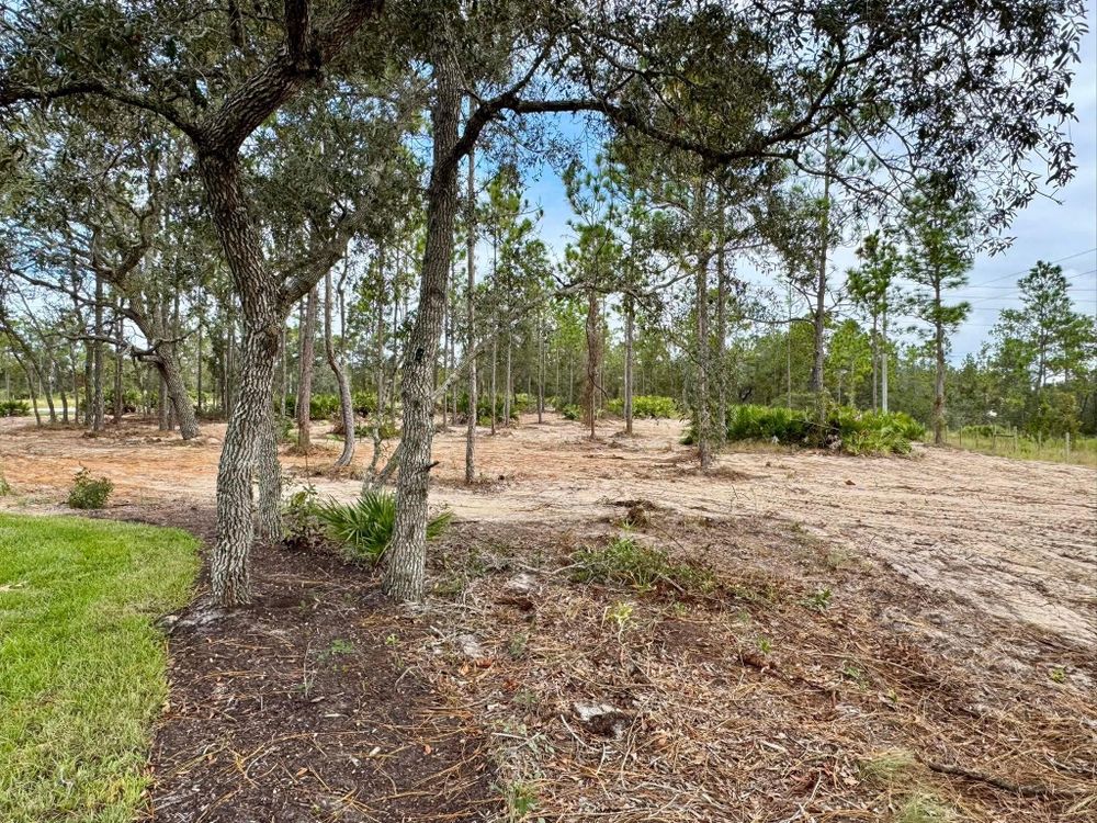 All Photos for All American Excavating Inc in Brooksville,  FL