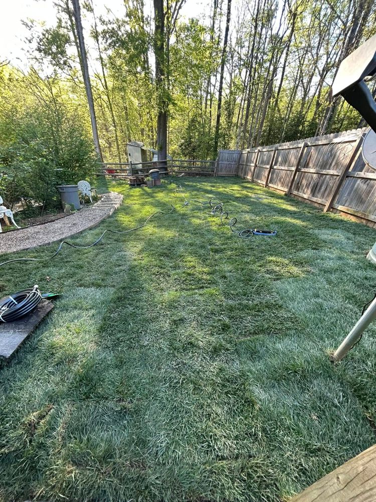 Lawn Care for JMLP Lawn & Landscaping in Charlotte, NC
