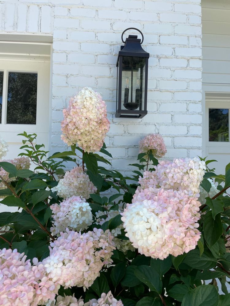 All Photos for Courtney Lewis Landscape Design in Portland, OR