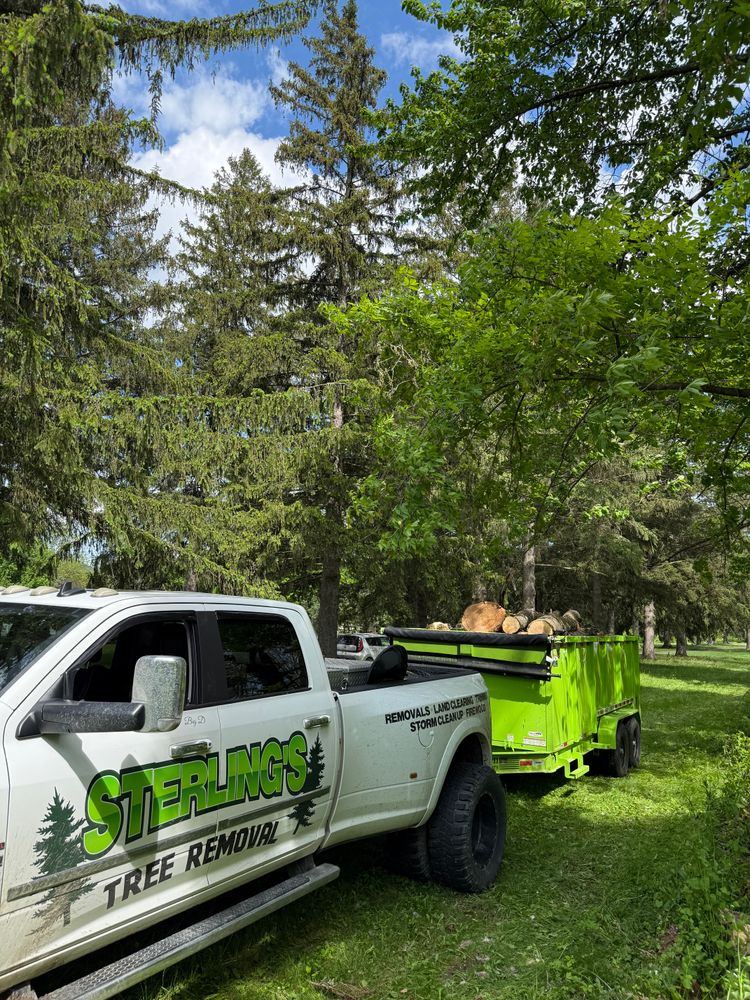 All Photos for Sterlings Tree Removal in Cobleskill, New York