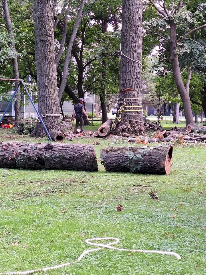 All Photos for Highborn Tree Service in Wheatfield, IN