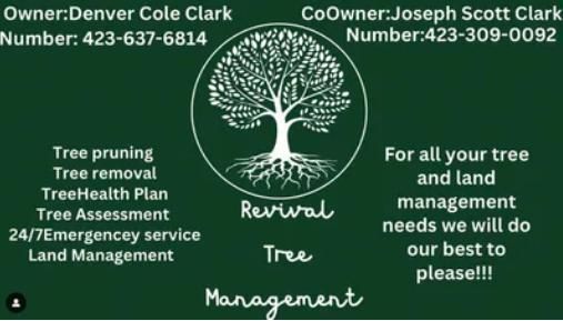 All Photos for Revival Tree Management in Chattanooga, TN