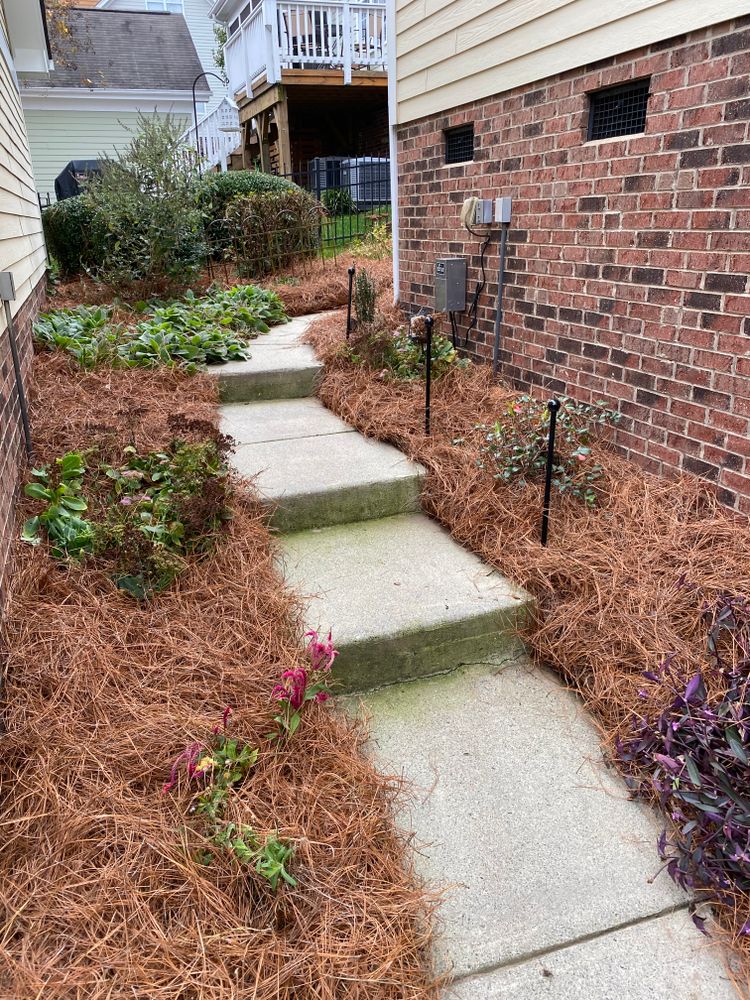 Pine Needle Installation for Dream Cuts Landscaping and Lawn Care LLC in Gastonia, NC