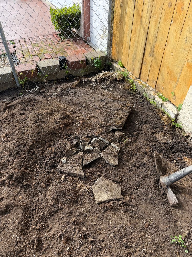 All Photos for CBA Landscaping in Hayward, CA