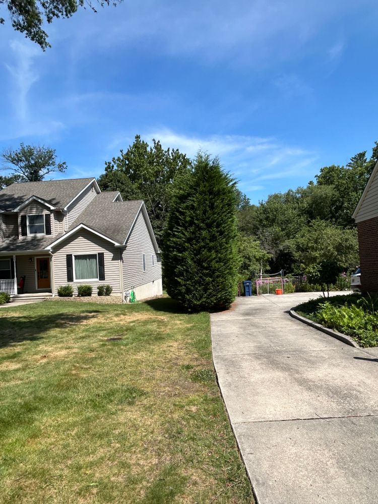 All Photos for Hingewood Tree Service in Salem, NJ