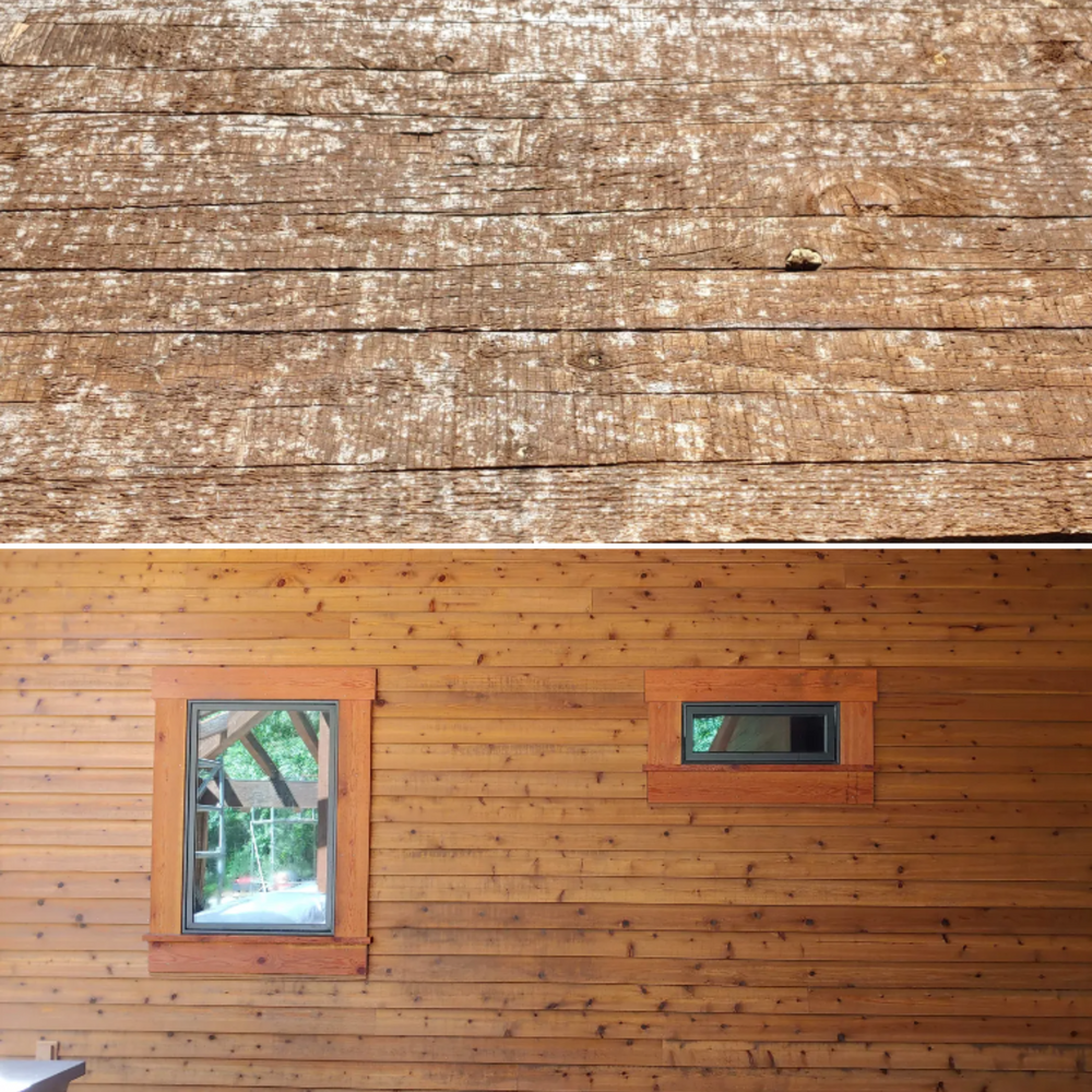 All Photos for Paints Well With Colors in Billings, MT