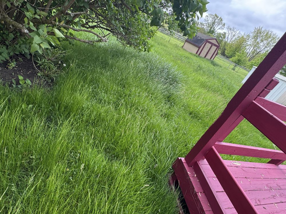 Landscaping Lawn Care for Daugherty's Tough Lawn Care in Essexville, MI