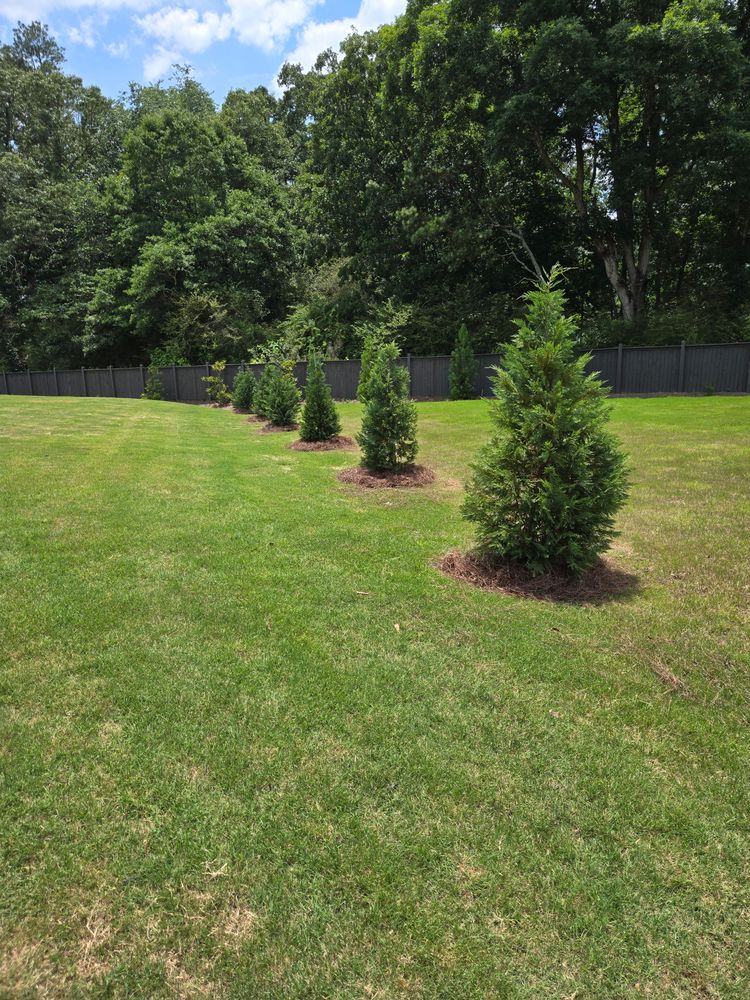 All Photos for Palmour's Lawn Care in Gainesville, GA
