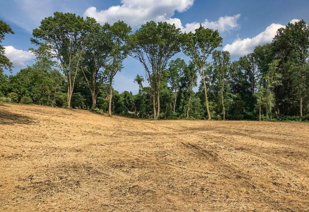 All Photos for Blu-J Tree Care in Arlington, TX