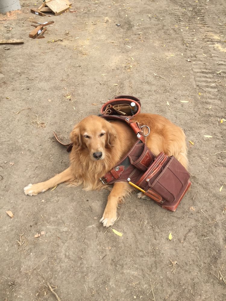 All Photos for R&H Homes in Bozeman, MT