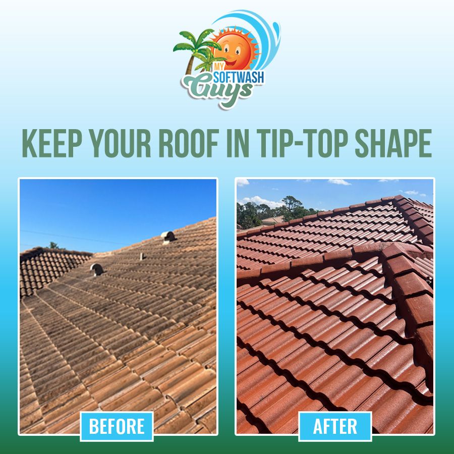 Our professional roof cleaning service effectively removes dirt, moss, and algae from your roof to restore its appearance and extend its lifespan, enhancing the overall curb appeal of your home. for My Softwash Guys in North Port, FL