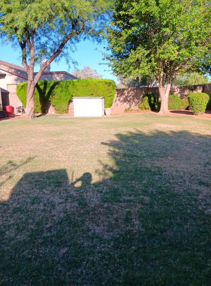 All Photos for Family Landscaping in Phoenix, AZ