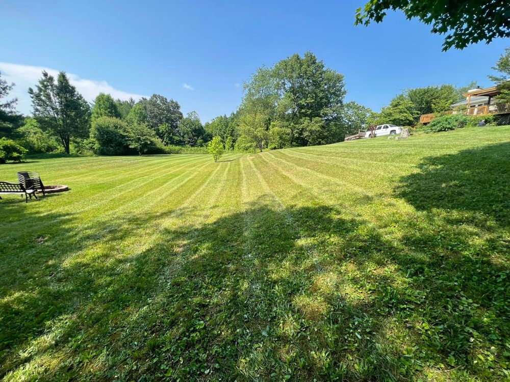 All Photos for SkyLimit LawnCare in Asheville, NC