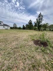 All Photos for Oviedo Land & Garden in Bastrop, TX