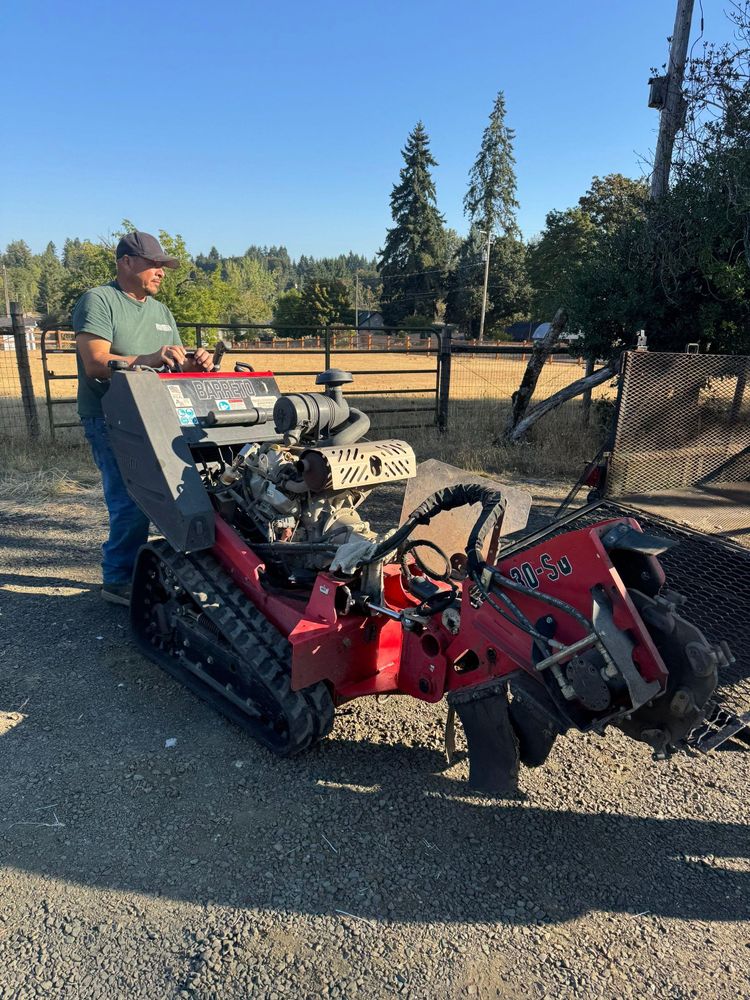 All Photos for Willamette Landscaping and Tree Services in Albany, OR