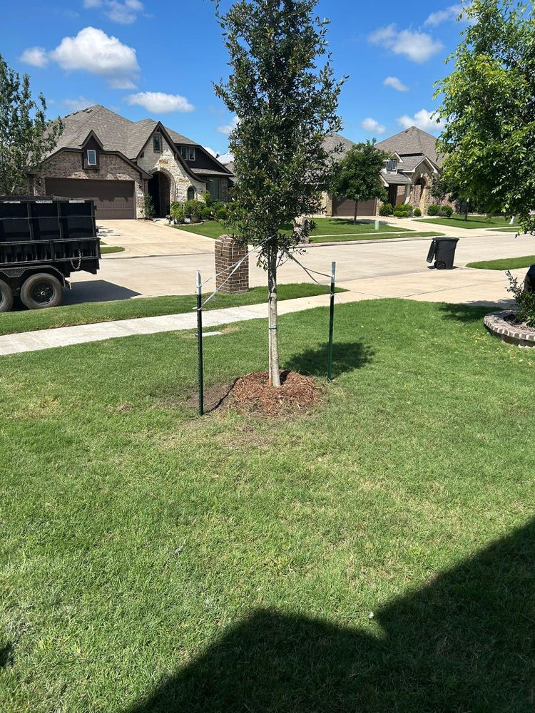 All Photos for Teague Trees and Land Clearing in Rendon, TX