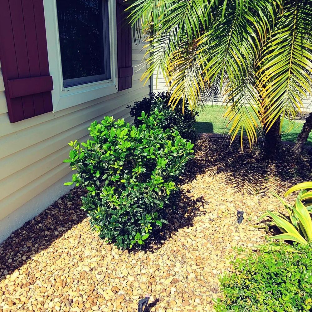 All Photos for TopNotch Landscaping Services  in The Villages, FL