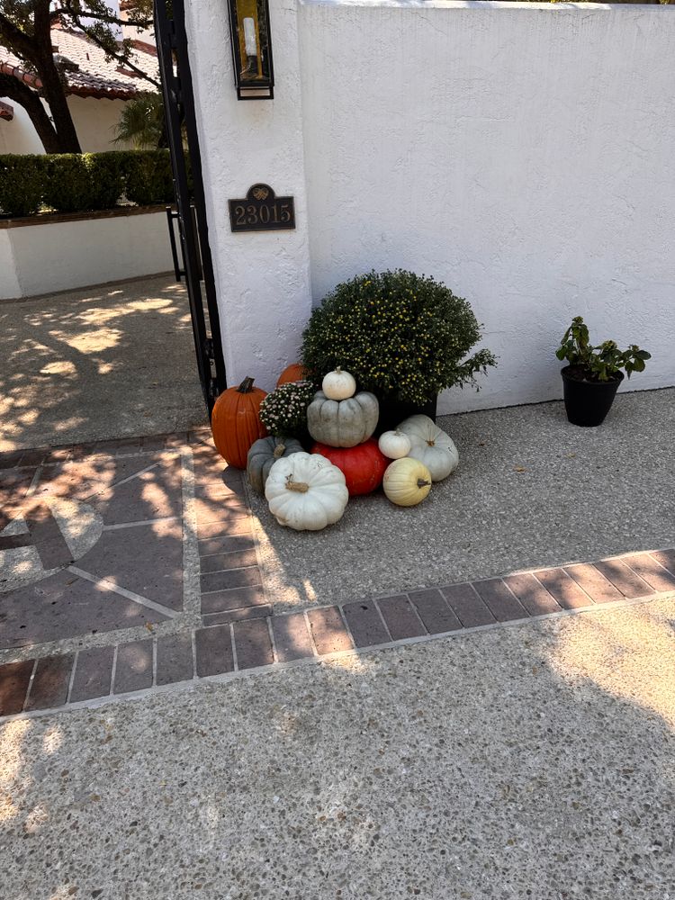 Fall Decorations  for Espinoza Landscape & Construction  in San Antonio, TX