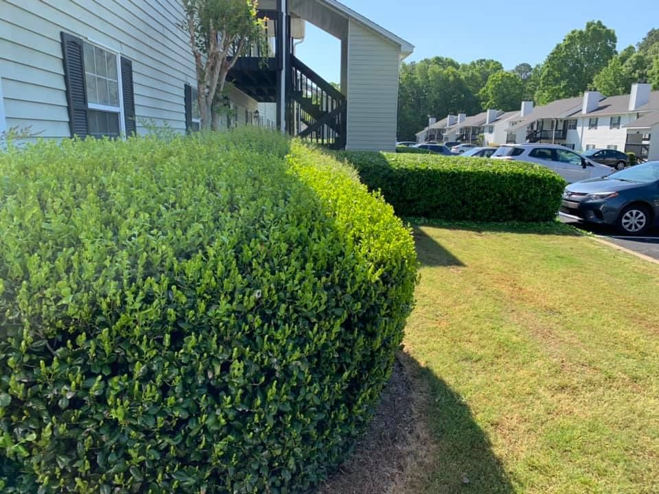 Transform your outdoor space with our Landscape Installs service, where we design and implement customized solutions to enhance beauty and functionality, ensuring a stunning landscape tailored to your vision and needs. for Bega Landscape Services in Atlanta, Georgia