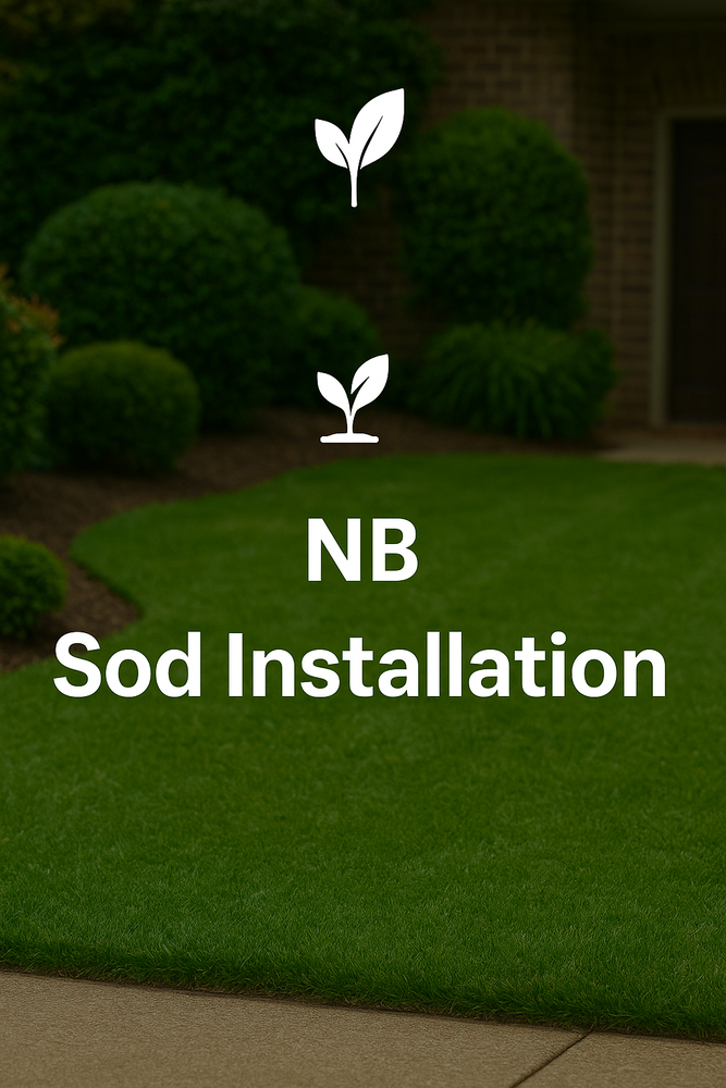 All Photos for New Beginning Landscape & Remodel LLC in Atlanta, GA