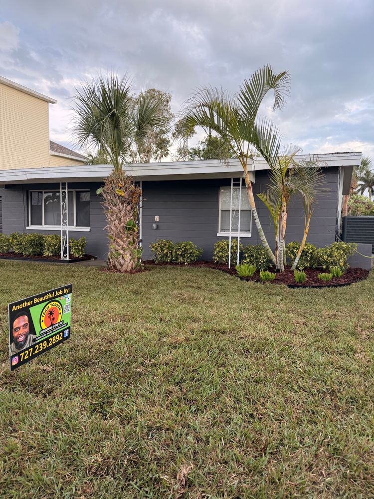 All Photos for Team Tolson Landscape in Tampa Bay, FL