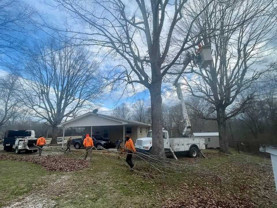 All Photos for Ross Family Tree Service LLC  in Hohenwald, TN