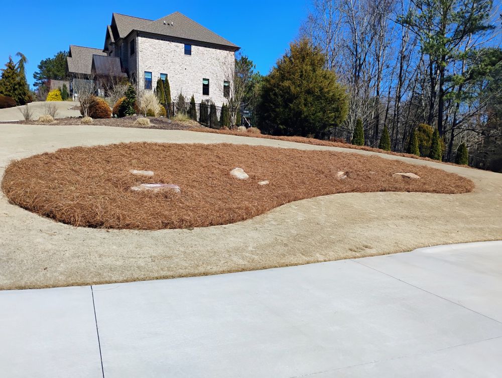 All Photos for BAM Another Pinestraw Lot in Flowery Branch, GA