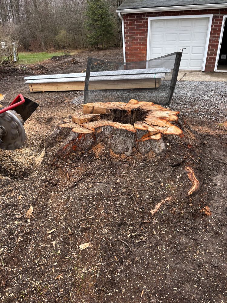 All Photos for Dean's Stump Removal in Youngstown, OH