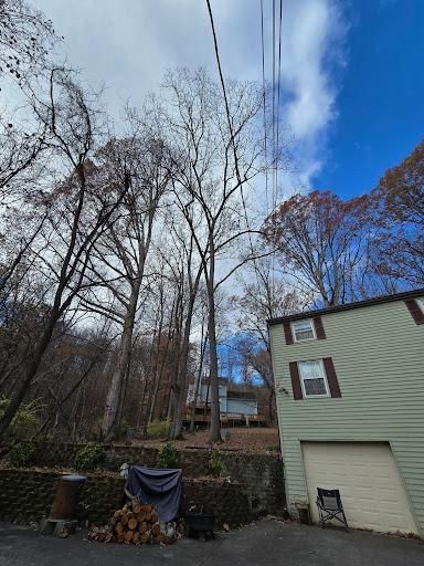 All Photos for M&L Lumber and Excavating in Jonesborough, TN