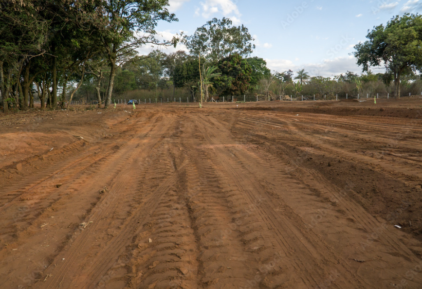 All Photos for Kadin’s Tree Service in North Vernon, IN