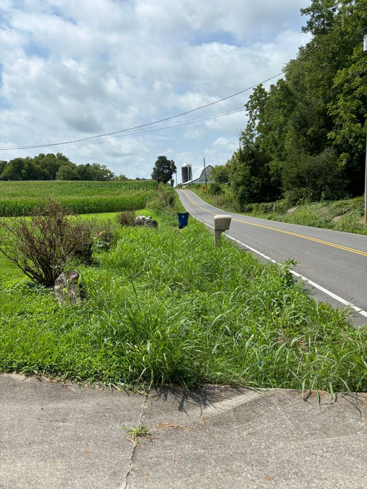 All Photos for SEALY TREE and LAWN in Cleveland, TN