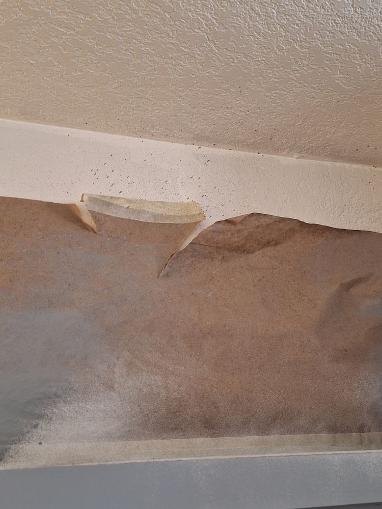 All Photos for Velasco's Painting in Sacramento,  CA