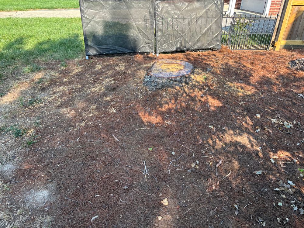 All Photos for Conrad's Stump Removal in Columbus, IN