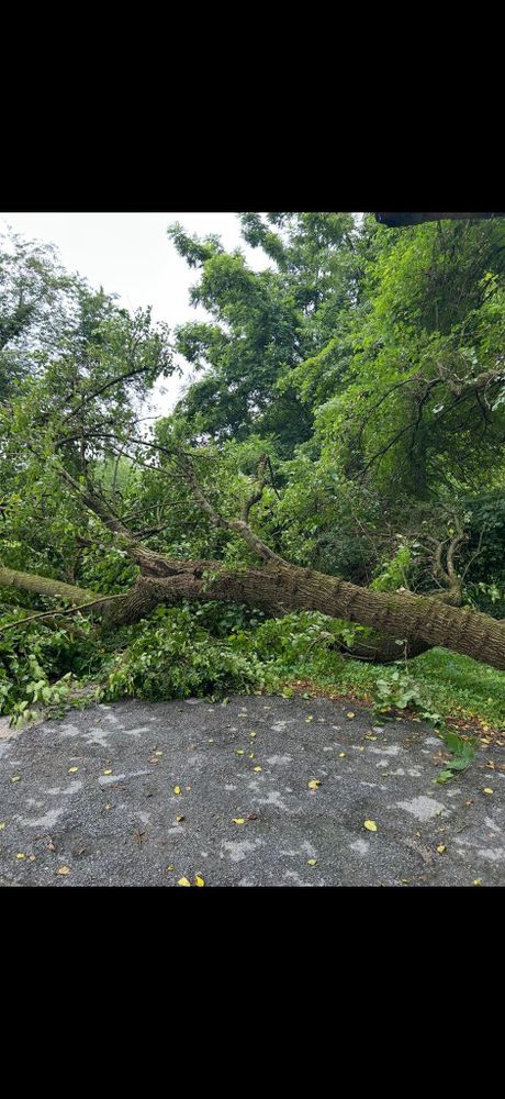 All Photos for Pleasant Valley Land Management  in Westminster, MD