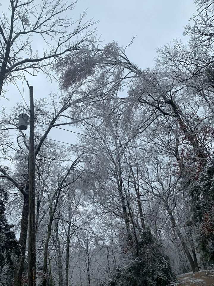 All Photos for Mud Creek Vegetation Management in Russellville, AL