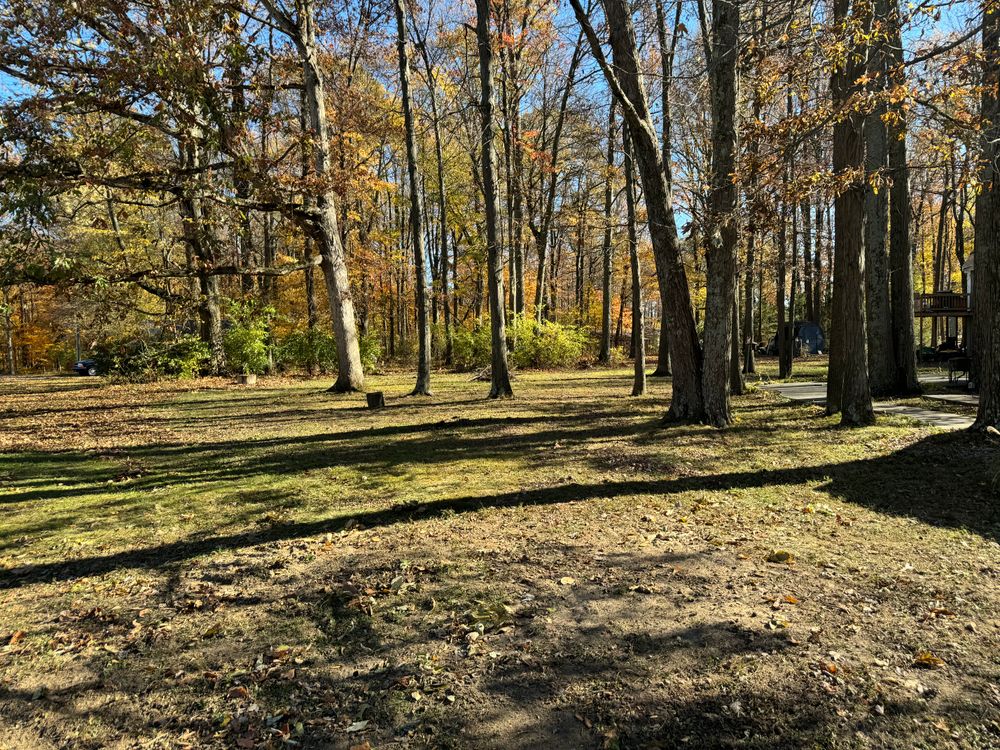 All Photos for Davidson Lawn Care LLC in Greensburg, IN