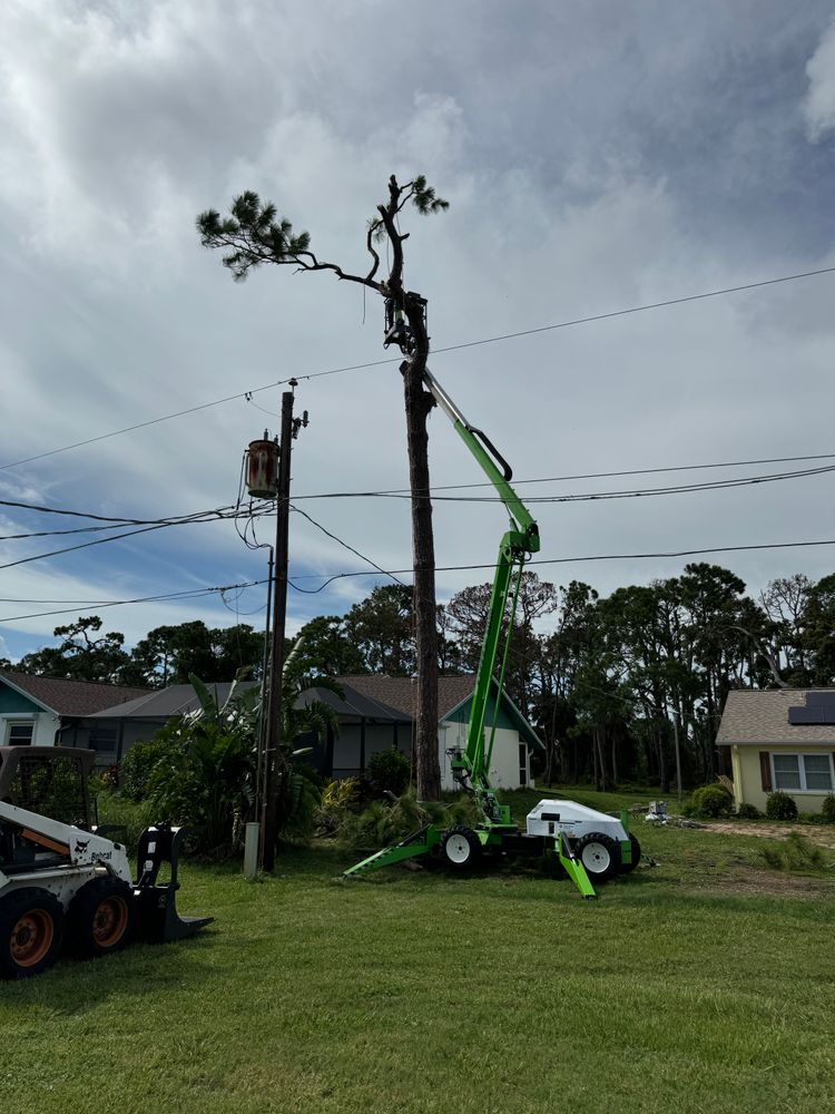 All Photos for Lemon Bay Tree Service  in Englewood, FL