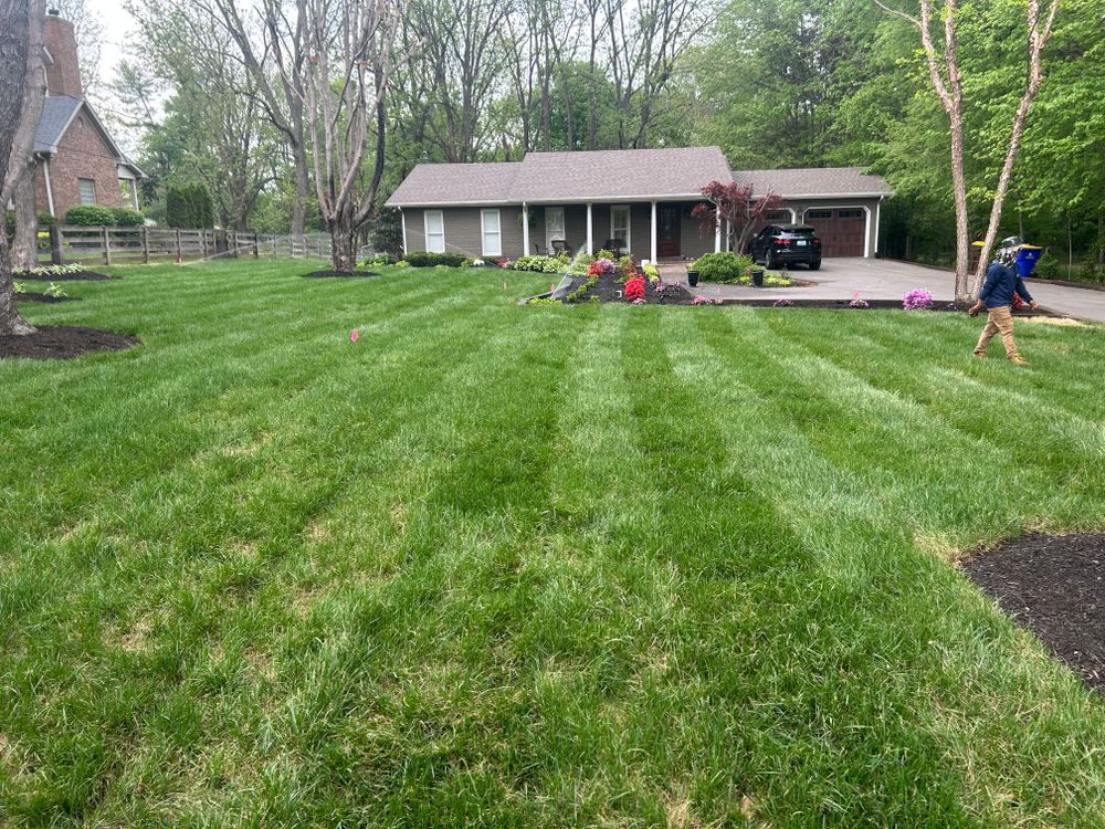 All Photos for Optimum Tree Service And Landscaping in Bowling Green, KY
