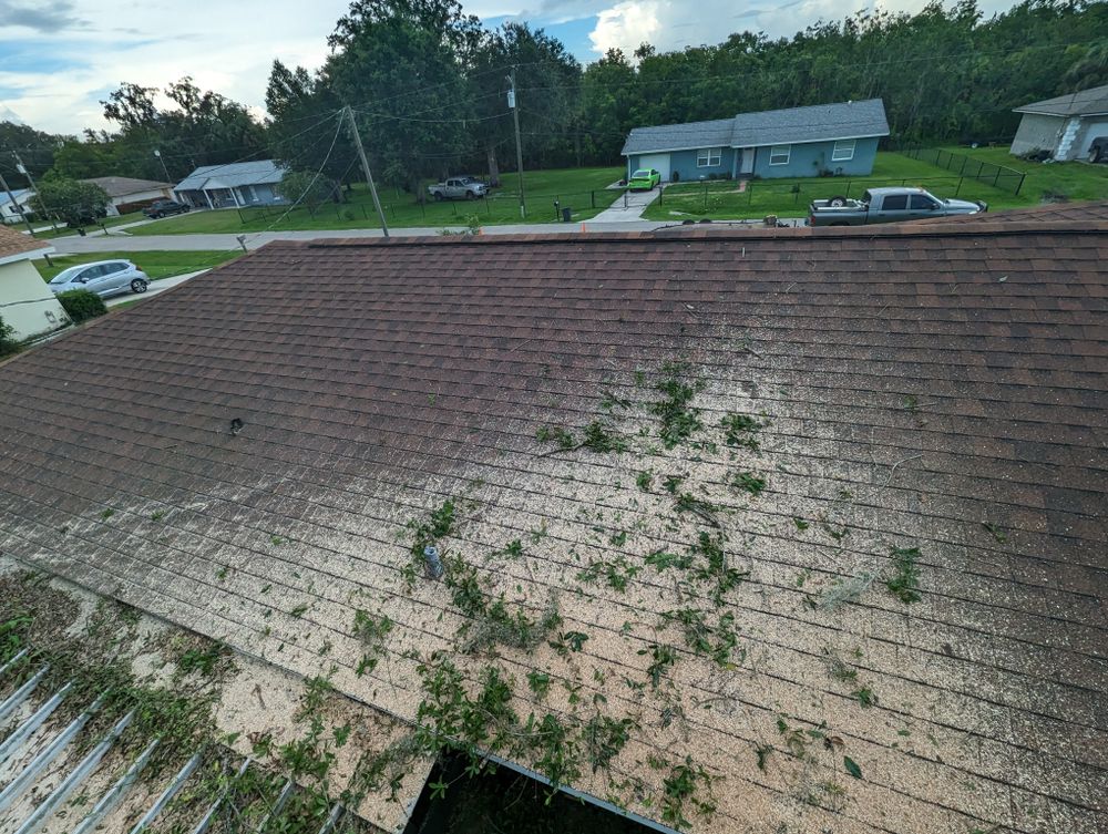 All Photos for Regal Tree Service and Stump Grinding in Wauchula, FL