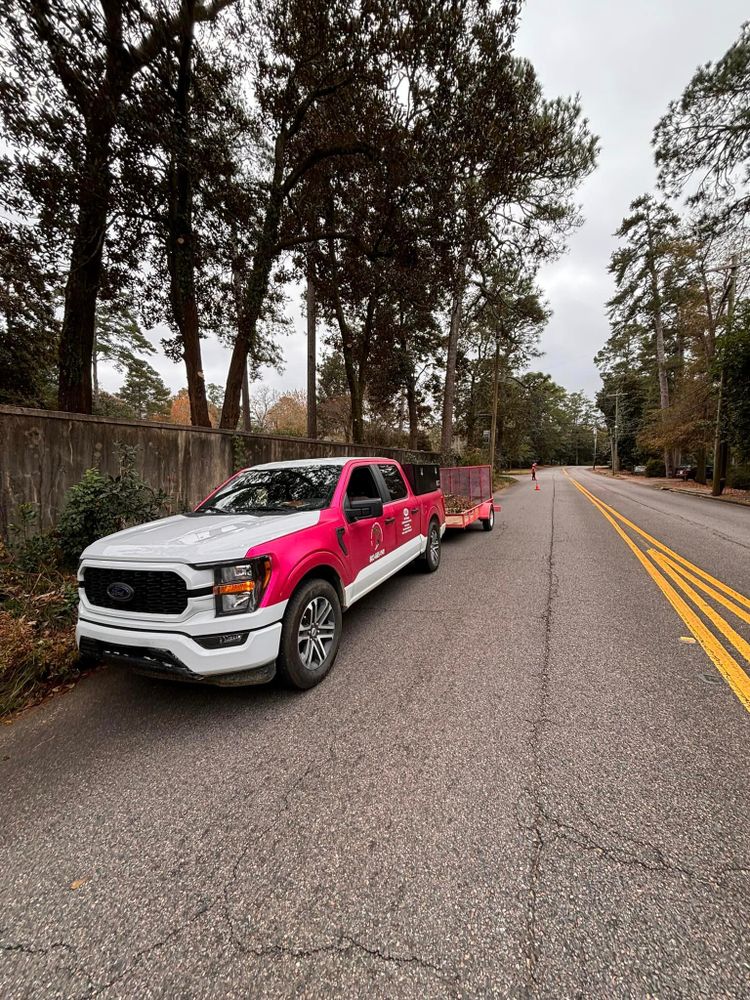 Our Exterior Electrical Work service ensures efficient and safe electrical installations for your outdoor spaces, enhancing the functionality and aesthetics of your property. for Pink Pelican Tree Service & Landscaping in Columbia, SC