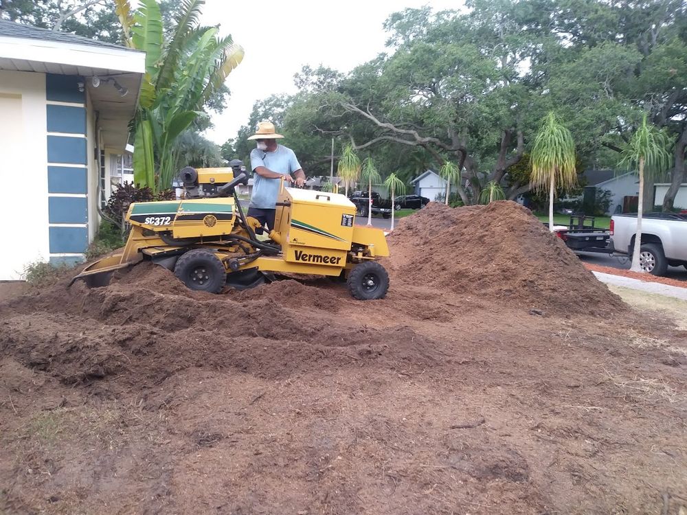 All Photos for Busy Beaver Stump Removal, Inc in Clearwater, FL