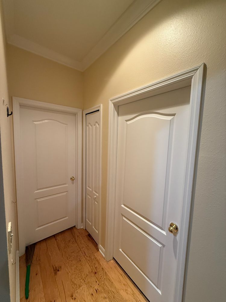 All Photos for Escorpio Painting in Tampa, FL