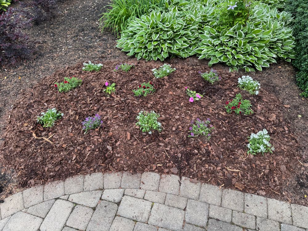 All Photos for Thin Green Line Landscaping & More in Laurens, SC