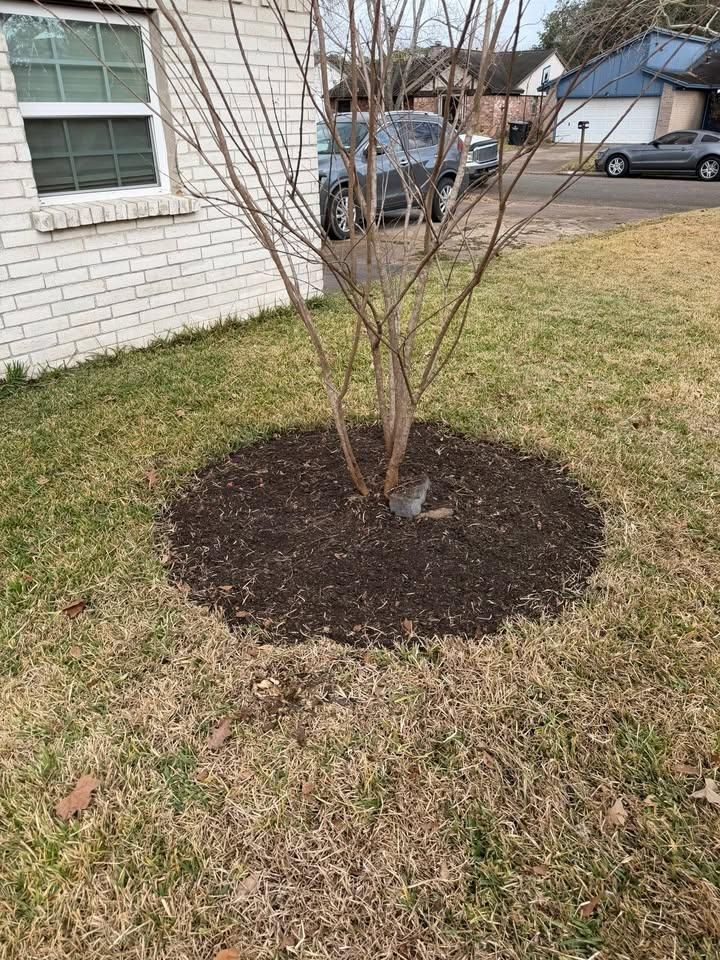 All Photos for Texas Curb N Borders in Houston, TX