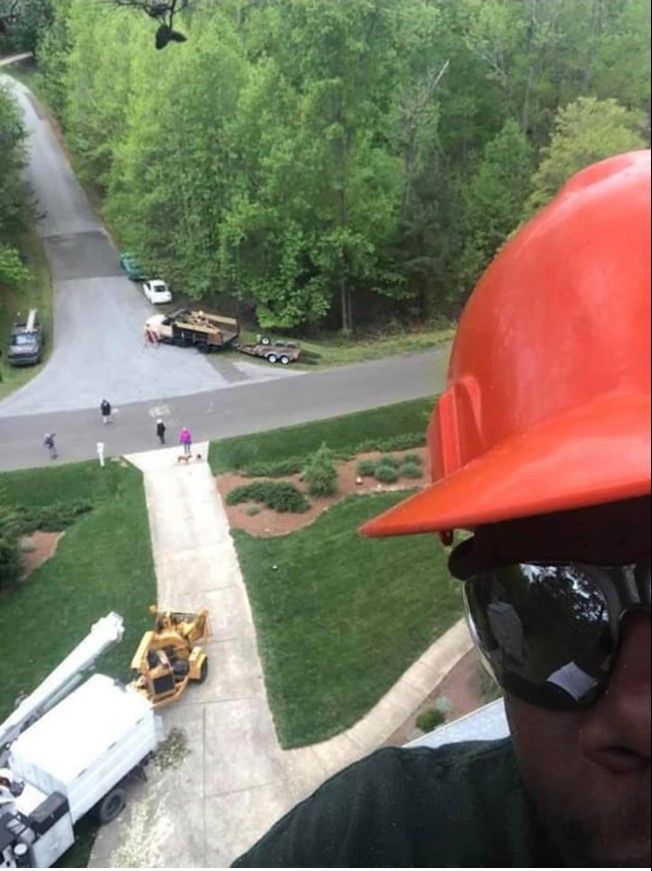 Tree Removal for Yardcall Solutions Tree & Landscaping Services in Durham, North Carolina