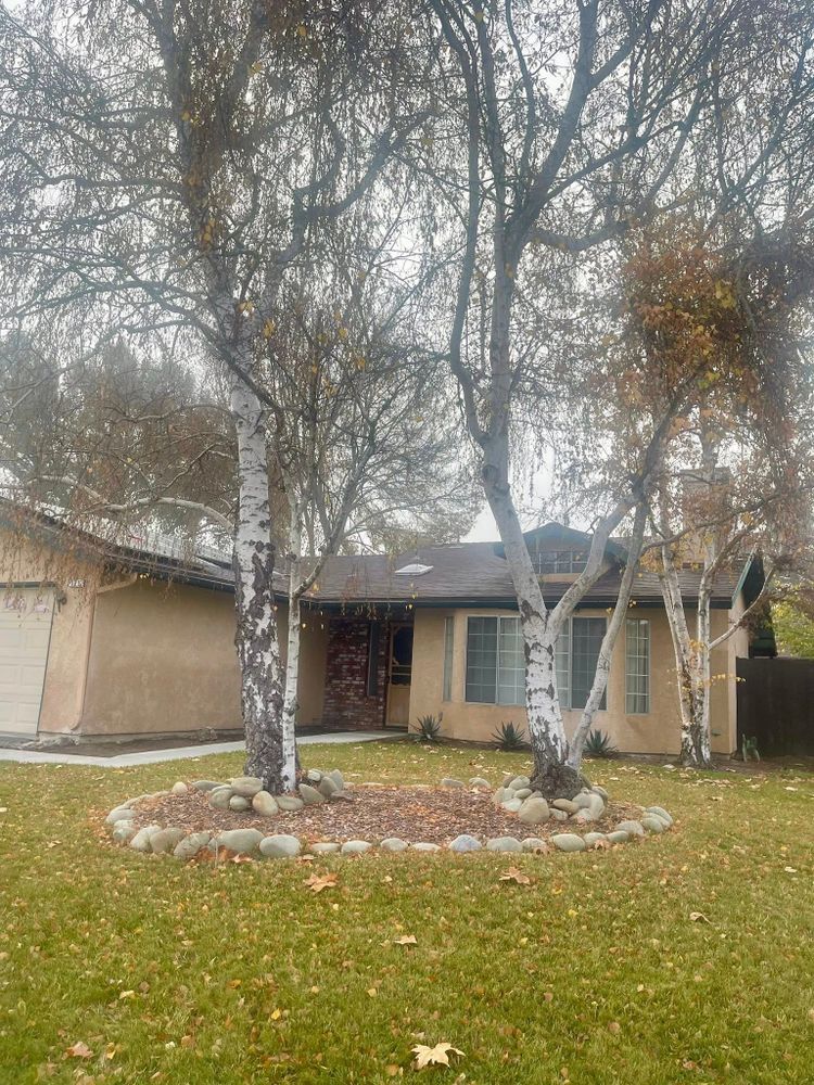 Our Fall Clean Up service ensures your yard is prepared for winter, featuring leaf removal, branch trimming, and debris clearing to promote healthy tree growth and a pristine outdoor environment. for A1 Junk & Tree Solutions, LLC in Paso Robles, CA